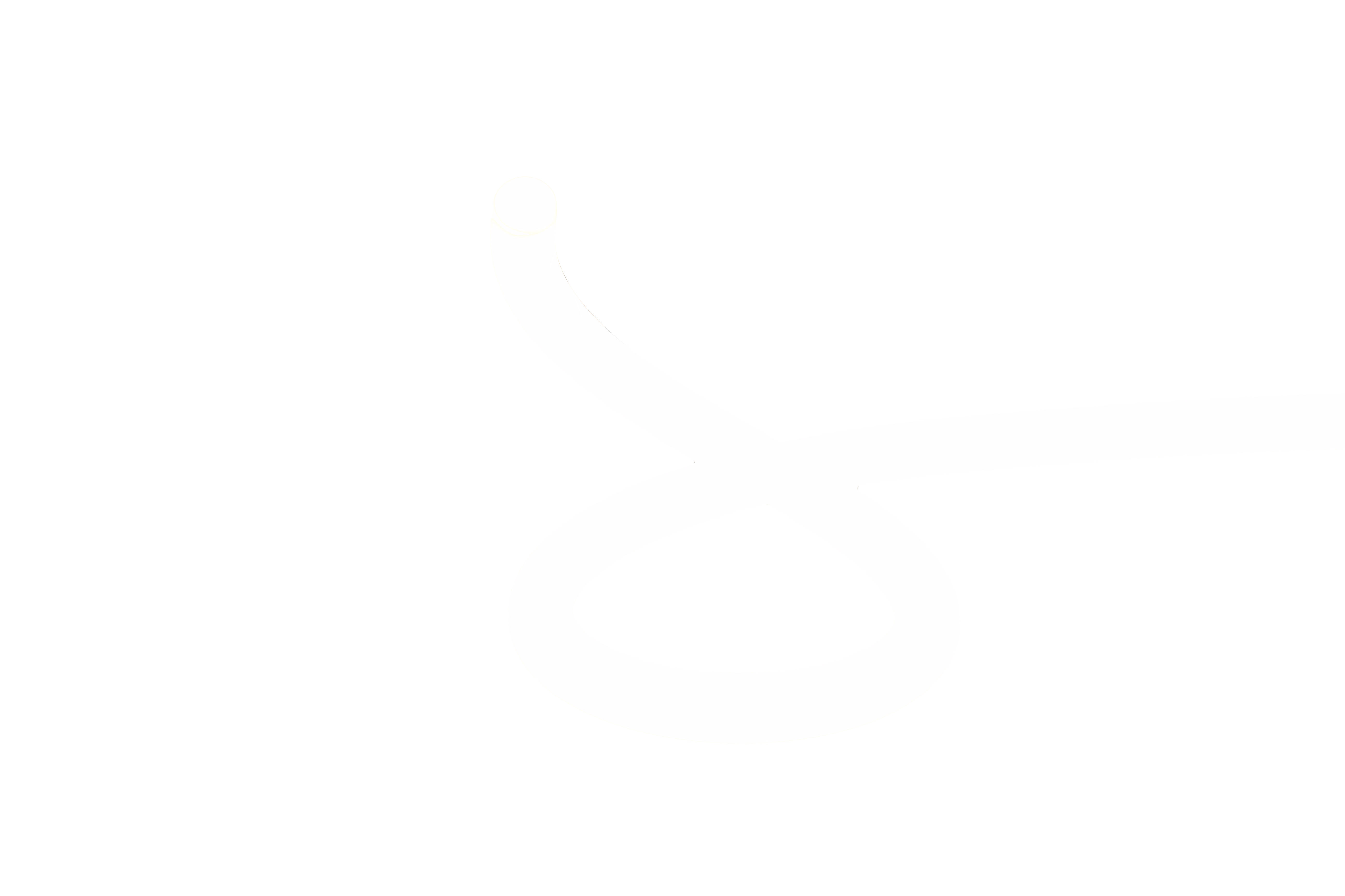 FLEXA