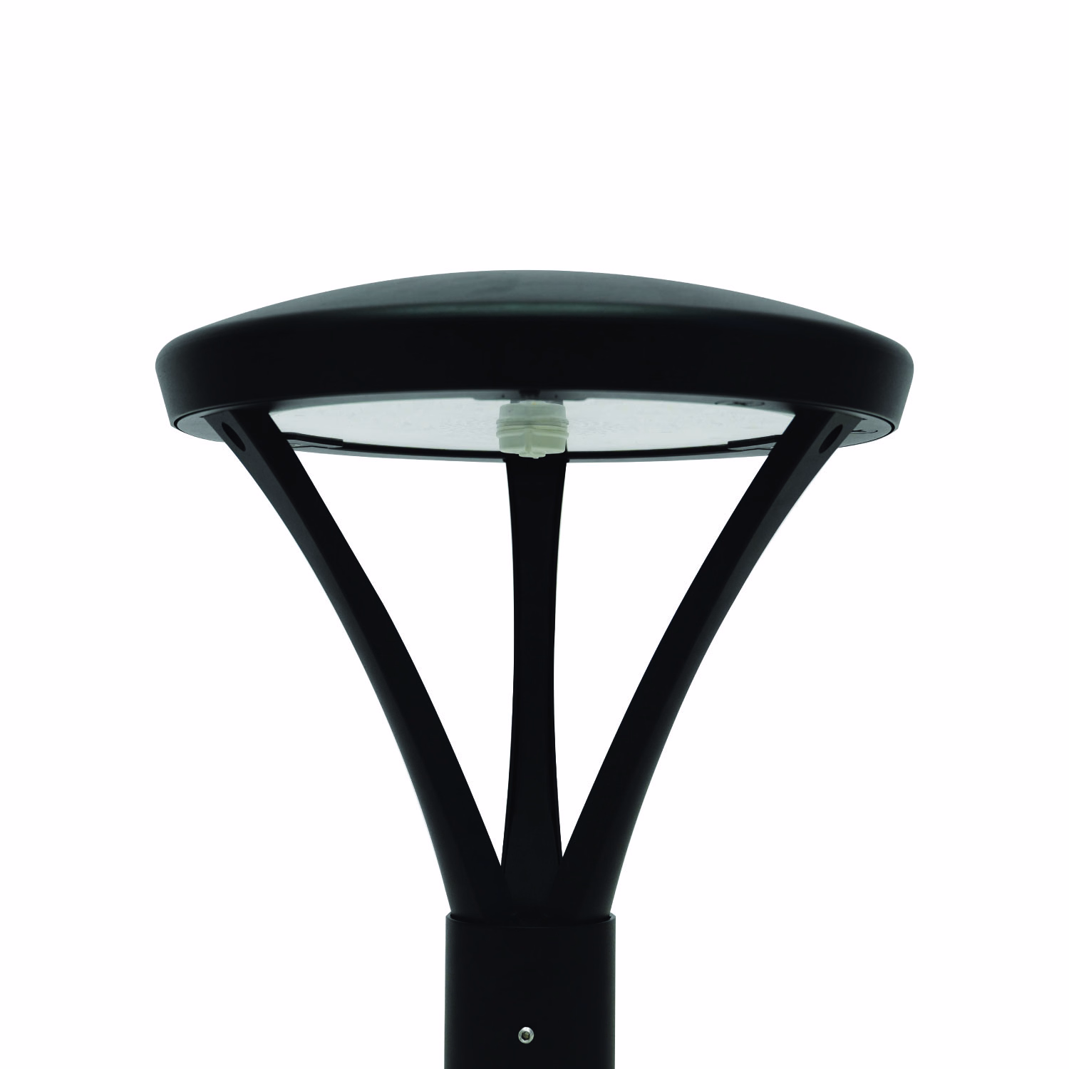High-Lumen Performance