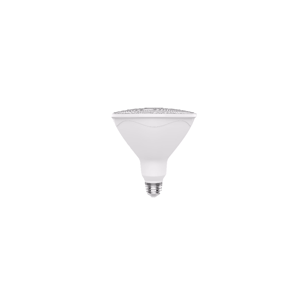 PAR38 LAMP finish preview