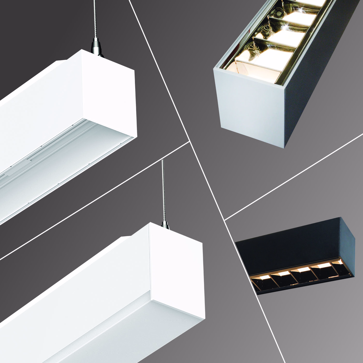 Optical & Distribution Options